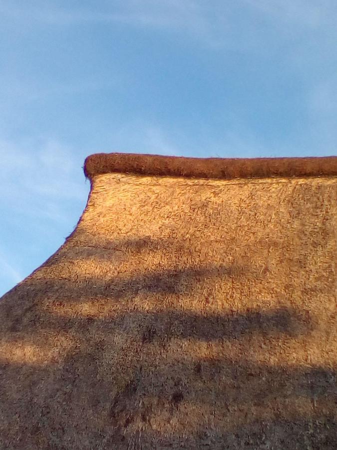Ferienhaus Burkard Epenwohrden Buitenkant foto